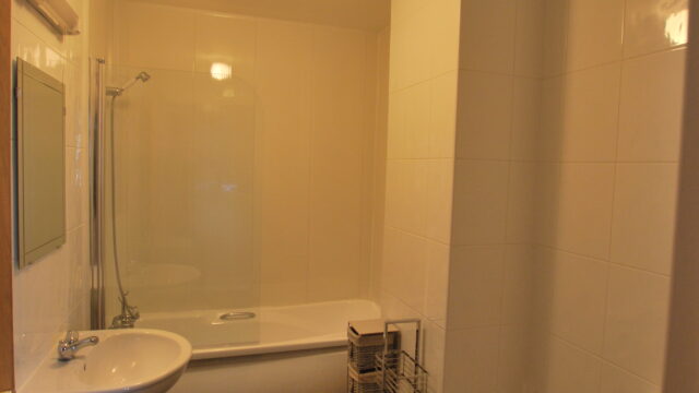 Main Bathroom 1